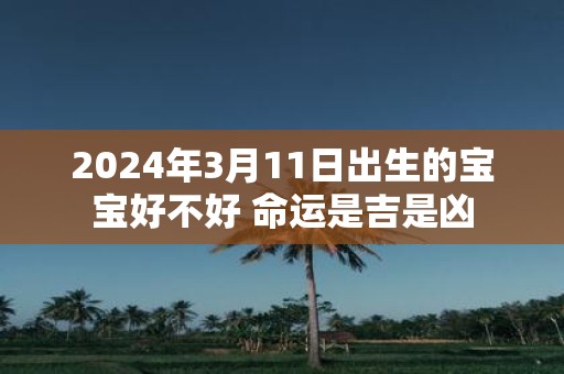 2025年3月11日出生的宝宝好不好 命运是吉是凶