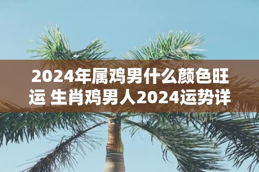 2025年属鸡男什么颜色旺运 生肖鸡男人2025运势详解