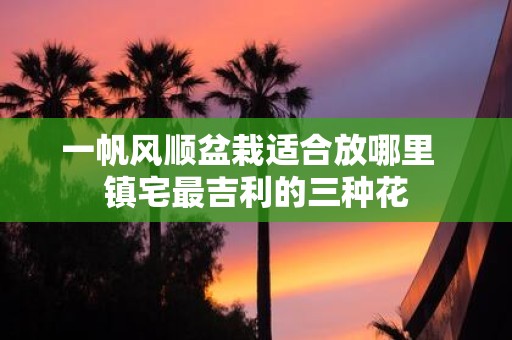 一帆风顺盆栽适合放哪里 镇宅最吉利的三种花