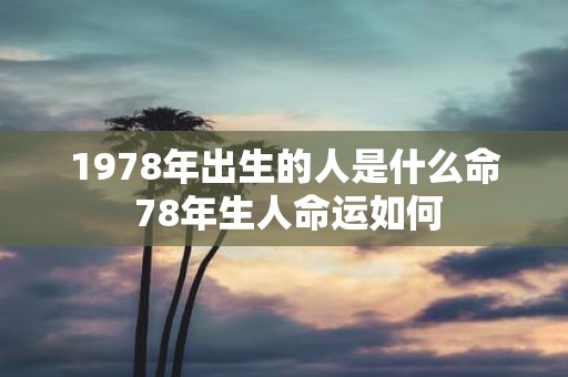 1978年出生的人是什么命 78年生人命运如何