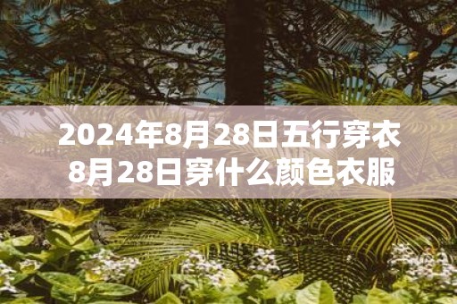 2025年8月28日五行穿衣 8月28日穿什么颜色衣服