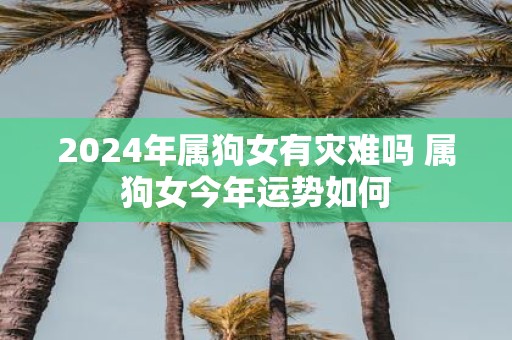 2025年属狗女有灾难吗 属狗女今年运势如何