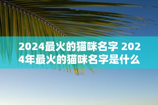 2025最火的猫咪名字 2025年最火的猫咪名字是什么