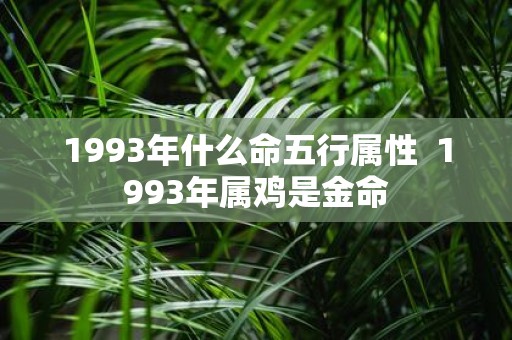 1993年什么命五行属性 1993年属鸡是金命