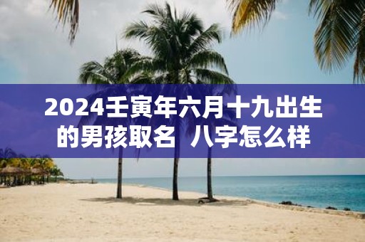 2025壬寅年六月十九出生的男孩取名 八字怎么样