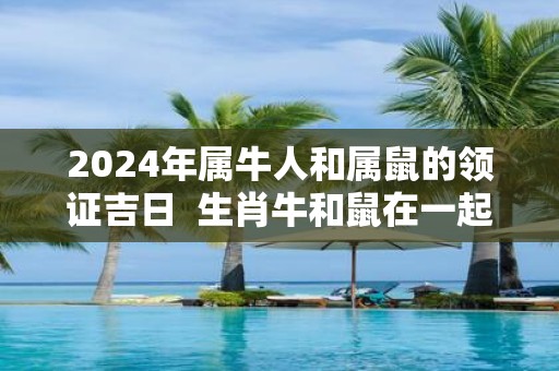 2025年属牛人和属鼠的领证吉日 生肖牛和鼠在一起长久不