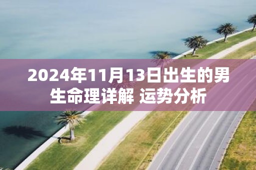 2025年11月13日出生的男生命理详解 运势分析