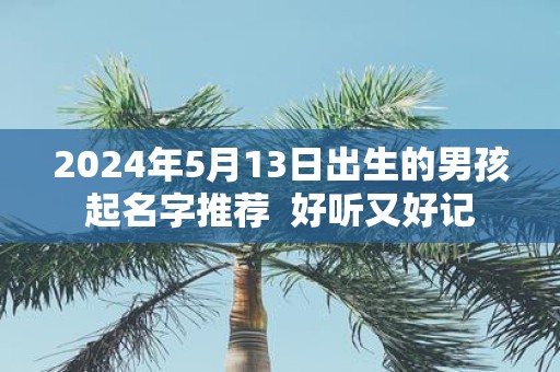 2025年5月13日出生的男孩起名字推荐 好听又好记