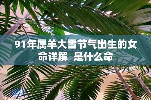 91年属羊大雪节气出生的女命详解 是什么命