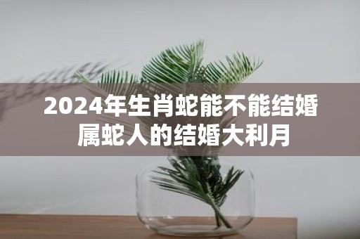 2025年生肖蛇能不能结婚 属蛇人的结婚大利月
