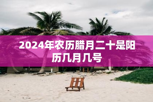 2025年农历腊月二十是阳历几月几号