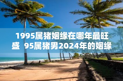 1995属猪姻缘在哪年最旺盛 95属猪男2025年的姻缘