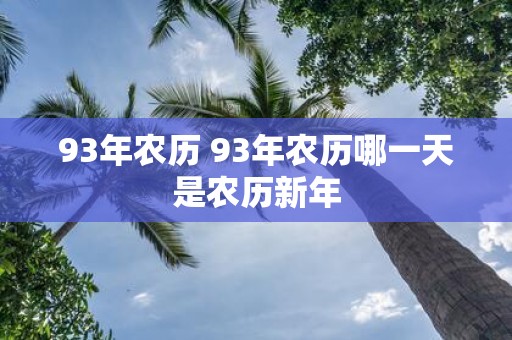 93年农历 93年农历哪一天是农历新年