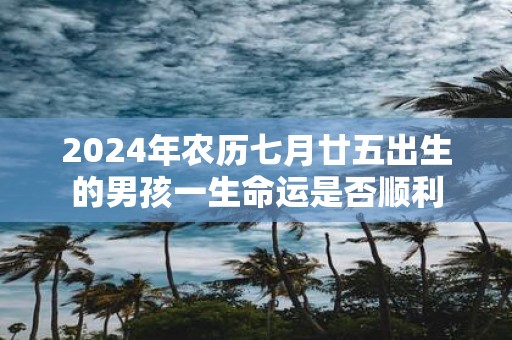 2025年农历七月廿五出生的男孩一生命运是否顺利