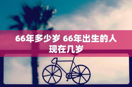 66年多少岁 66年出生的人现在几岁
