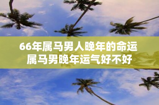 66年属马男人晚年的命运 属马男晚年运气好不好