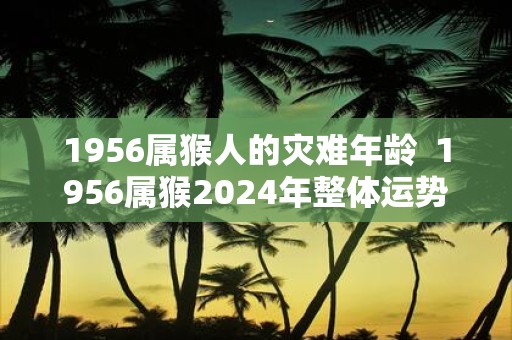 1956属猴人的灾难年龄 1956属猴2025年整体运势