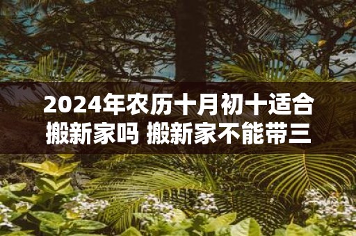 2025年农历十月初十适合搬新家吗 搬新家不能带三件东西
