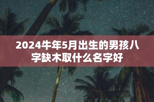 2025牛年5月出生的男孩八字缺木取什么名字好