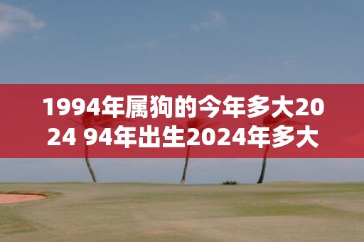 1994年属狗的今年多大2024 94年出生2024年多大年龄