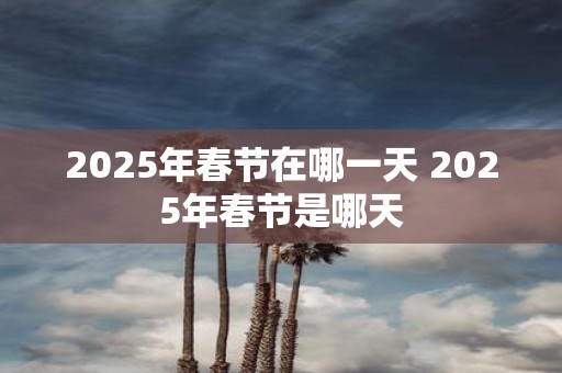 2025年春节在哪一天 2025年春节是哪天