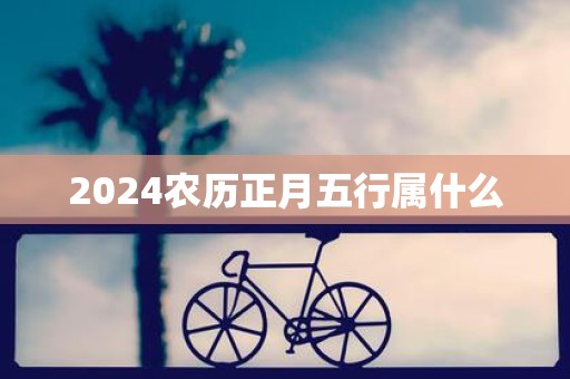 2025农历正月五行属什么 2025农历正月五行属什么