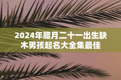 2025年腊月二十一出生缺木男孩起名大全集最佳