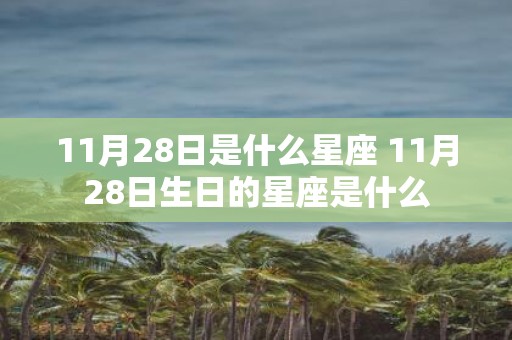11月28日是什么星座 11月28日生日的星座是什么