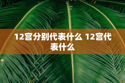 12宫分别代表什么 12宫代表什么