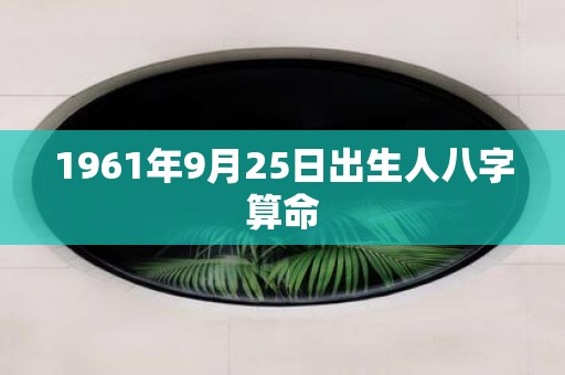 1961年9月25日出生人八字算命