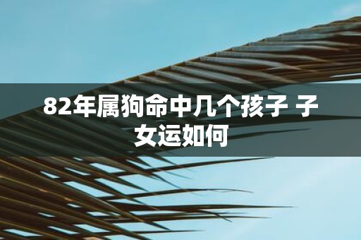 82年属狗命中几个孩子 子女运如何
