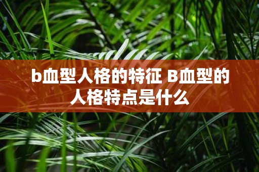 b血型人格的特征 B血型的人格特点是什么