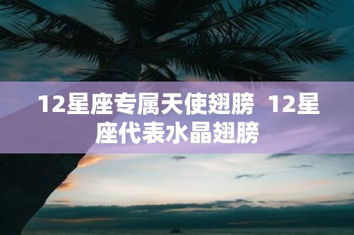 12星座专属天使翅膀 12星座代表水晶翅膀