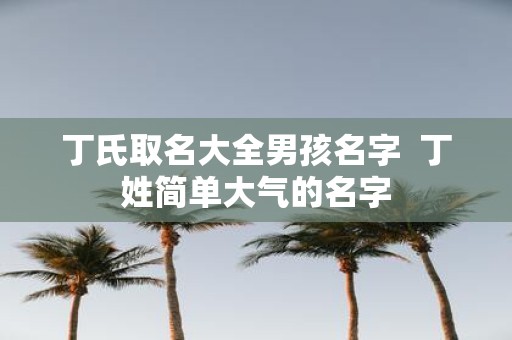 丁氏取名大全男孩名字 丁姓简单大气的名字