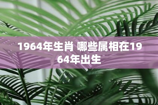 1964年生肖 哪些属相在1964年出生