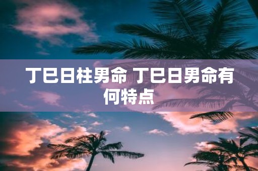 丁巳日柱男命 丁巳日男命有何特点