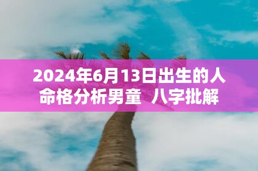 2025年6月13日出生的人命格分析男童 八字批解