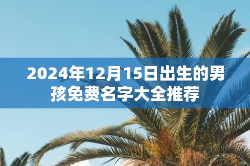 2025年12月15日出生的男孩免费名字大全推荐