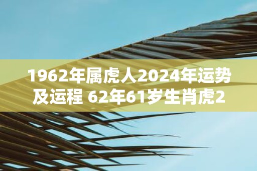 1962年属虎人2025年运势及运程 62年61岁生肖虎2025年每月运势