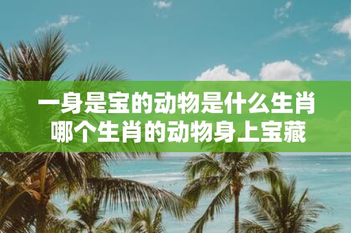 一身是宝的动物是什么生肖 哪个生肖的动物身上宝藏丰富