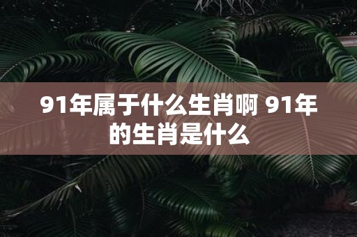 91年属于什么生肖啊 91年的生肖是什么