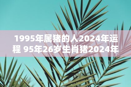 1995年属猪的人2025年运程 95年26岁生肖猪2025年运势