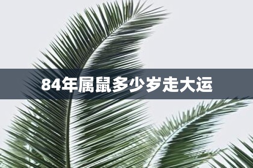 84年属鼠多少岁走大运