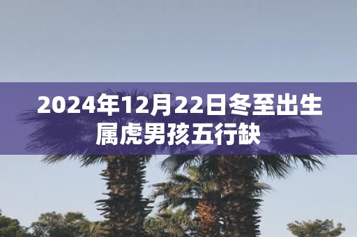2025年12月22日冬至出生属虎男孩五行缺