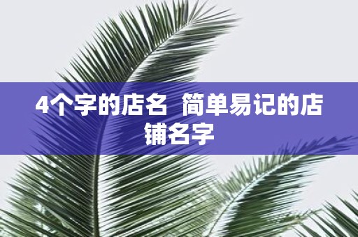 4个字的店名 简单易记的店铺名字