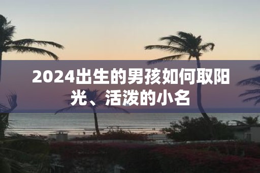 2025出生的男孩如何取阳光、活泼的小名