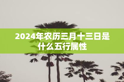 2025年农历三月十三日是什么五行属性