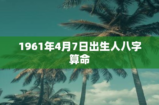 1961年4月7日出生人八字算命