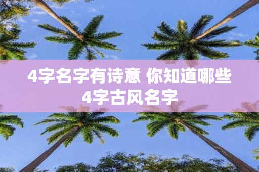 4字名字有诗意 你知道哪些4字古风名字