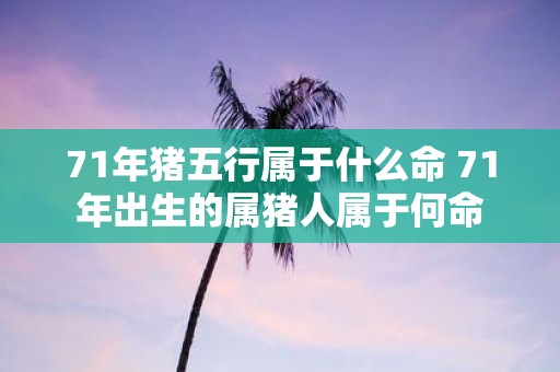 71年猪五行属于什么命 71年出生的属猪人属于何命
